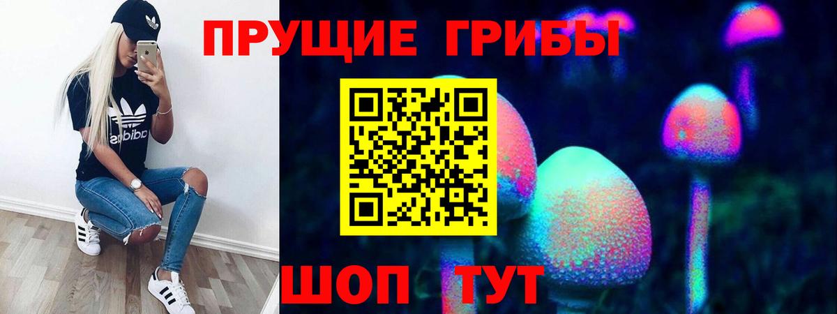 Советский  Галлюциногенные грибы мицелий  Псилоцибиновые грибы Psilocybine cubensis  Вход с VPN 